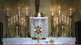 10:30 am Missa Cantata - Dominica V Post Pascha