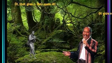 ĐÔI CHÂN TRẦN - Y MOAN