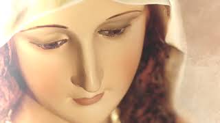 Video thumbnail of "Imaculada Virgem Maria | On this day beautiful Mother"