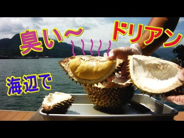 ドリアン】完熟で臭いプンプン - YouTube