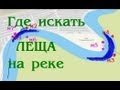 Рыбалка на самолов.  Места лова леща