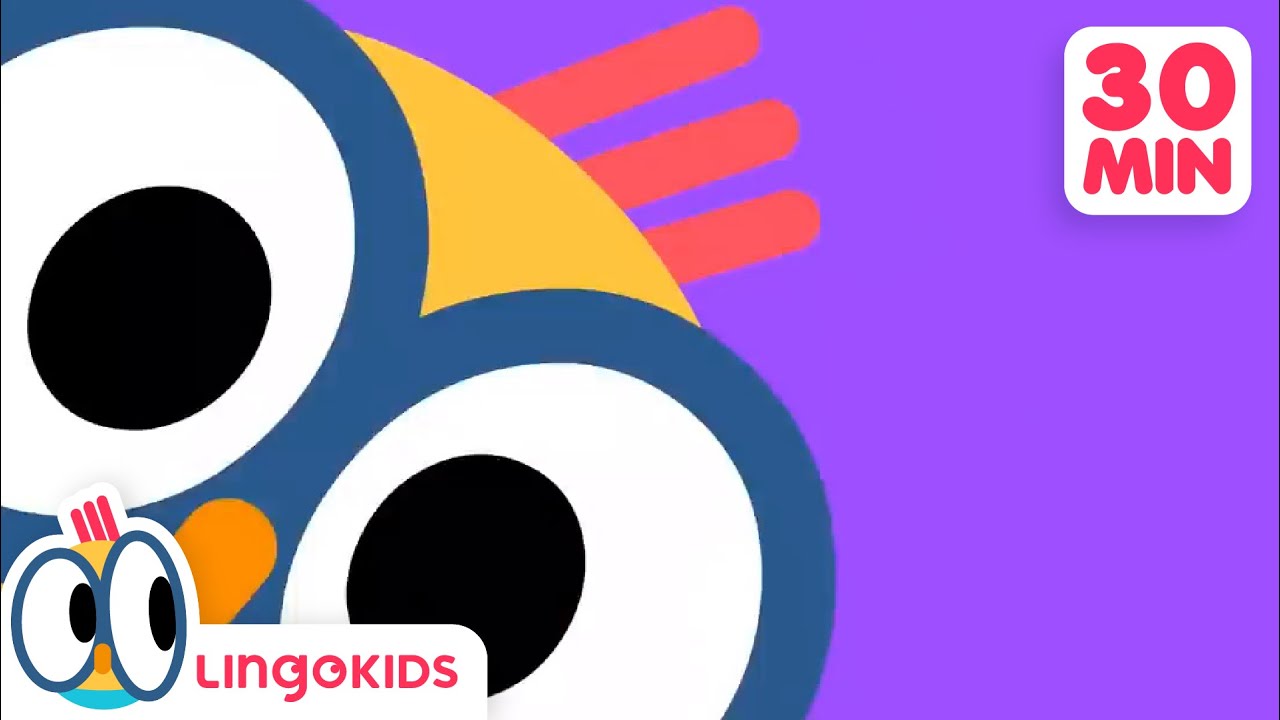 Clean Up Songs 🧹🧼 + More Songs for Kids | Lingokids - YouTube