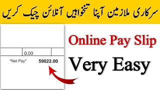 Check Pay Slip Online In Pakistan