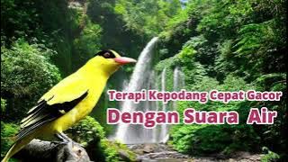 Terapi kepodang dengan air mengalir