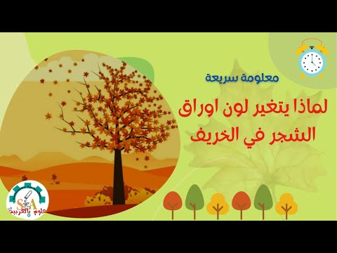 لماذا يتغير لون أوراق الشجر في الخريف معلومة سريعة علوم بالعربية