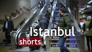 Istanbul - subway cats