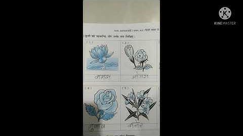 maniba vidhyasankul. Std-5 Hindi. ch-1 swadhyaypothi.