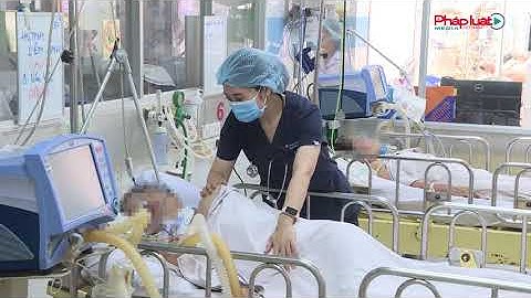 PATE MINH CHAY CÓ VI KHUẨN CHỨA ĐỘC TỐ RẤT MẠNH