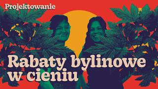 Rabaty bylinowe w cieniu pod drzewami. Porównanie młodych i starszych nasadzeń