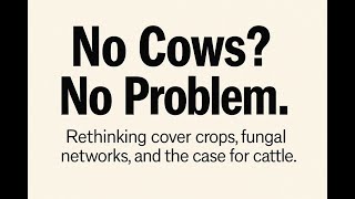 701 No Cows No Problem.