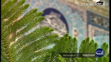 القارئ صادق الزيدي 😍سورة الفاتحة بمقام النهاوند والبيات😍رابط التلاوة بالاسفل👇