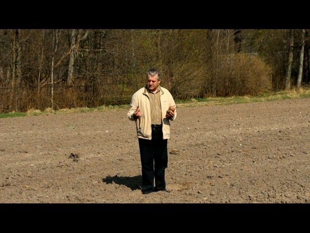 Когда и как правильно сажать картофель