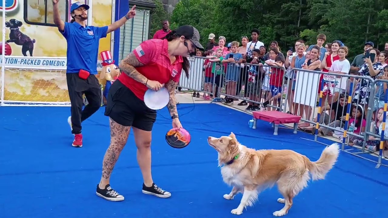Puppy Pals Presents: Road Trip Mayhem | 8:30pm Show | June 28