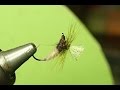 Tying Klinkhammer Dry Fly
