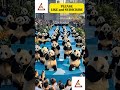 PANDA-PROJECT RUNWAY #ai #aipanda #panda #cutepanda #cutepandavideo #aivideo