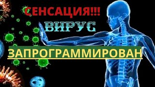 Вирус из Китая  Для чего нужны вирусы