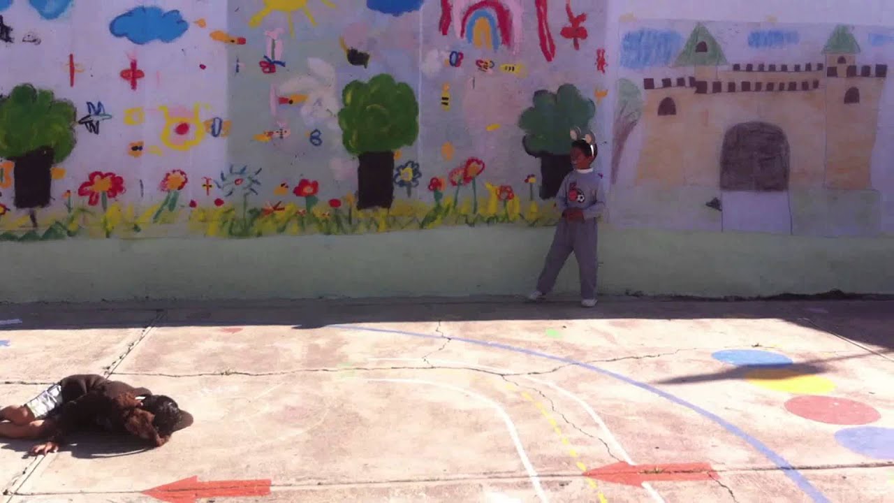UN LÍO DE PERROS , GATOS Y RATONES - YouTube