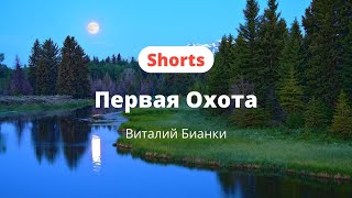 Первая охота | Виталий Бианки | Аудио