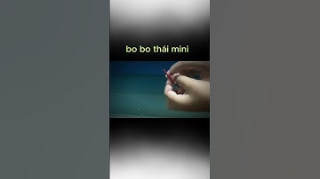 chiếc bo bo thái nhỏ nhất VIỆT NAM - Thiện GPT - #shorts