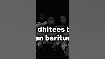 Oromo Music Viral Video Nasir Saladin Habesha Duet Music Bbcafaanoromoo 
