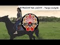 STRACHY NA LACHY - Twoje motylki [OFFICIAL VIDEO]