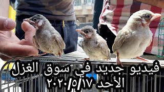 سوق الغزل لبيع وشراء الحيوانات في بغداد 2020/5/17