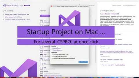 How to startup multiple projects on  Visual Studio for MAC