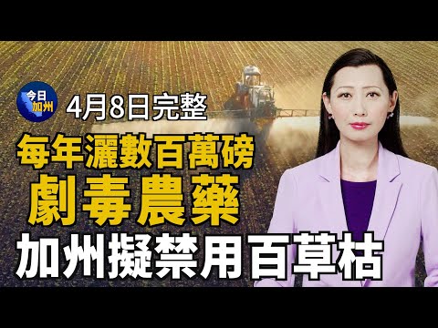 每年灑數百萬磅劇毒農藥 加州擬禁用百草枯｜中北美迎日全食 千萬人見證天文奇觀｜削減預算赤字 紐森計劃取消學校項目等撥款｜川普公布墮胎政策 拜登二度力推學貸減免計劃｜【2024年4月08日】今日加州