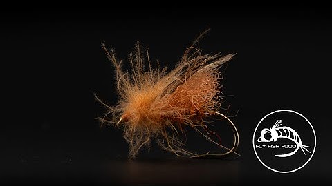 This Is a Super Buggy October Caddis! | Madison