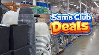 Sam’s Club Outdoor Section FULL of Yard Finds!