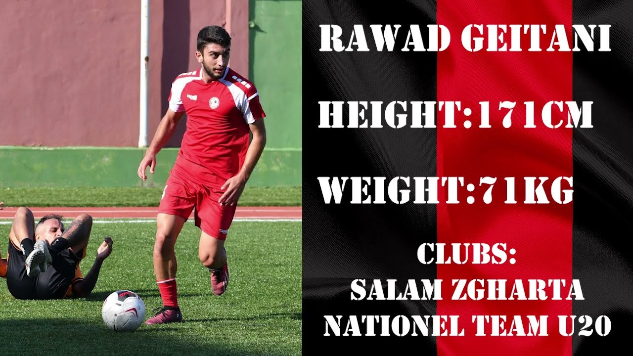 Rawad Gitani CV