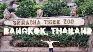 SRIRACHA TIGER ZOO PATTAYA | THAILAND | BANGKOK | World Tour | International Holidays|