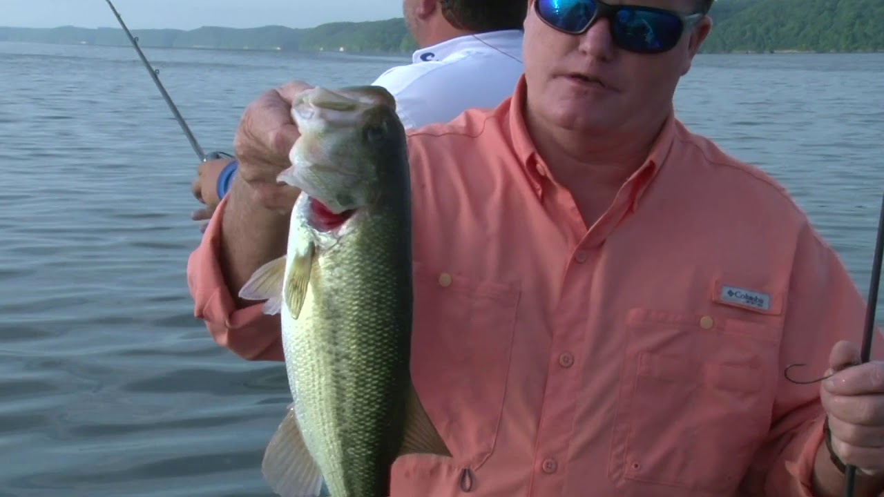 Live-Bait Fishing at Pickwick Yields Variety of Fish Species, Online Only