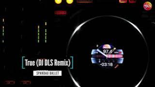 Spandau Ballet - True (DJ DLS Remix)