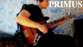 Primus - The Ballad of Bodacious [Bass Cover]