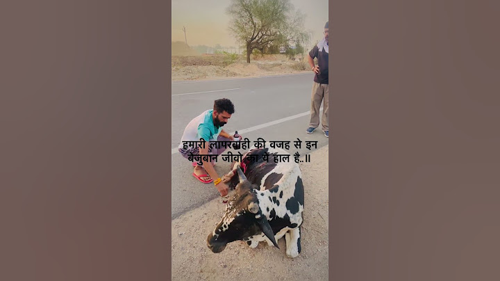 हमारी लापरवाही की वजह से इन बेजुबान जीवो का ये हाल है..॥