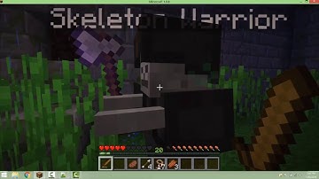 Minecraft Python Temple Lesson #9