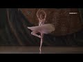 Top 15 Up and Coming Female Ballet Dancers