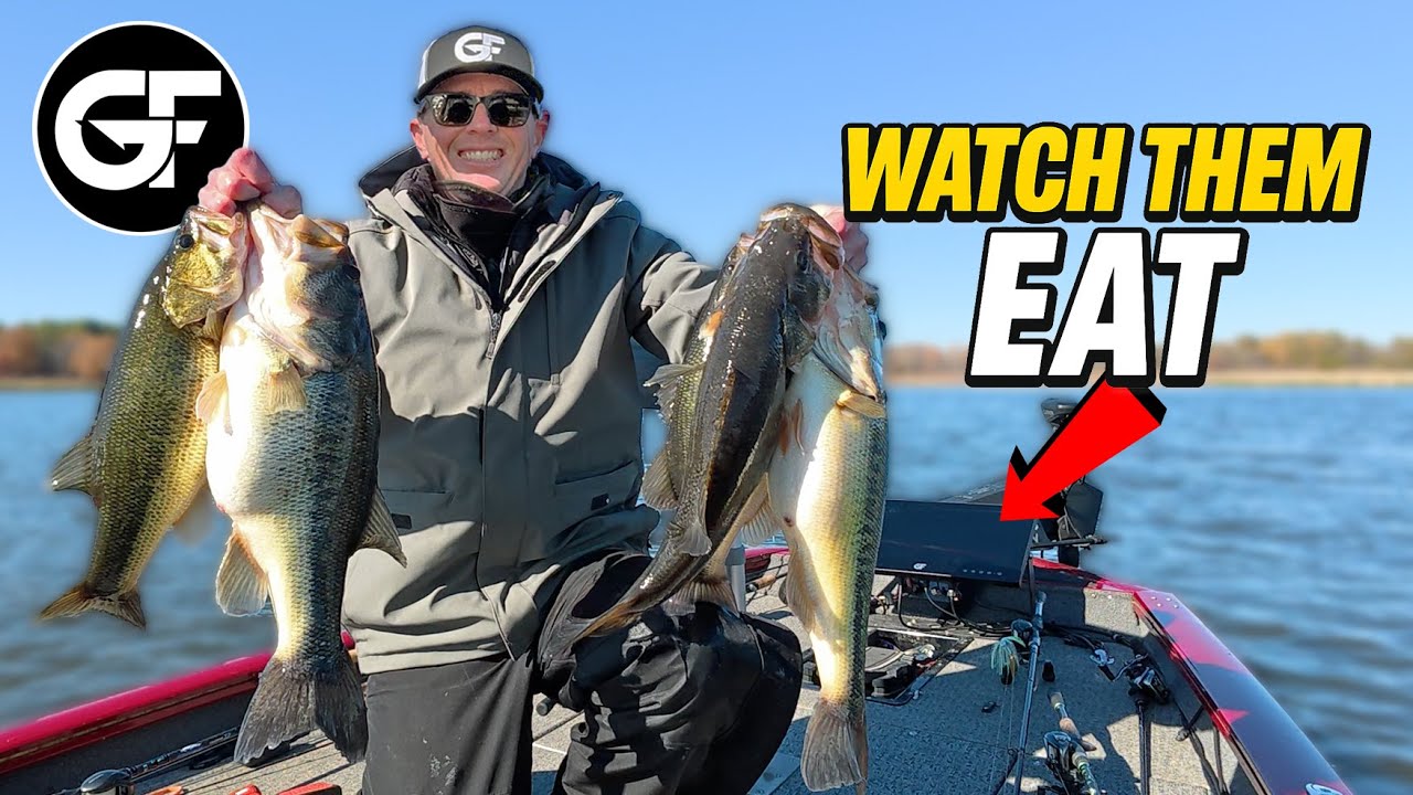 Big Screens, Big Bass | GF Edge 19 Texas Fishing