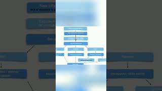 Paradoxical Inflammation Protocol: Dermatologist's Guide #shorts