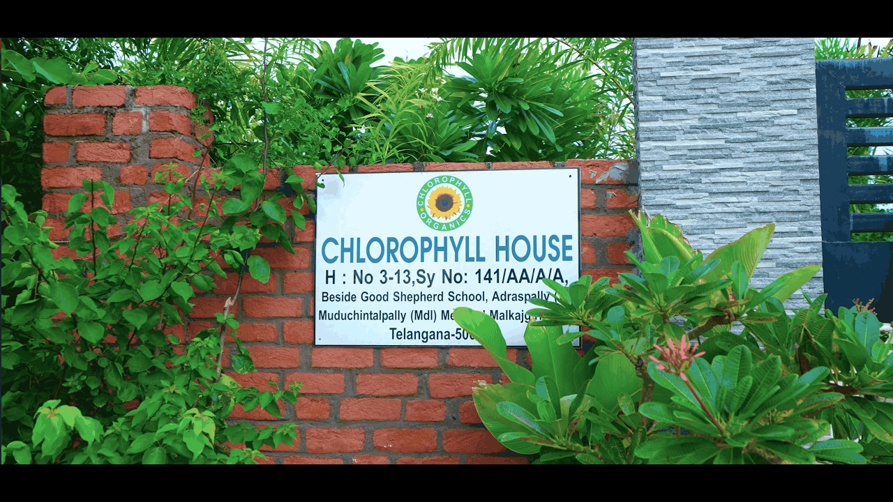 Chlorophyll House mp4