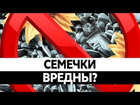 Вред и ПОЛЬЗА СЕМЕЧЕК. Можно ли есть семечки? Как грызть семечки?