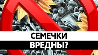 видео Семечки подсолнуха: польза и вред