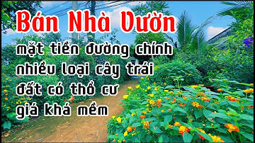 LÂM CẢNH NỢ ! gia đình chú tiệm quyết định rao bán căn nhà vườn gắn bó nhiều năm ở bà rịa vũng tàu