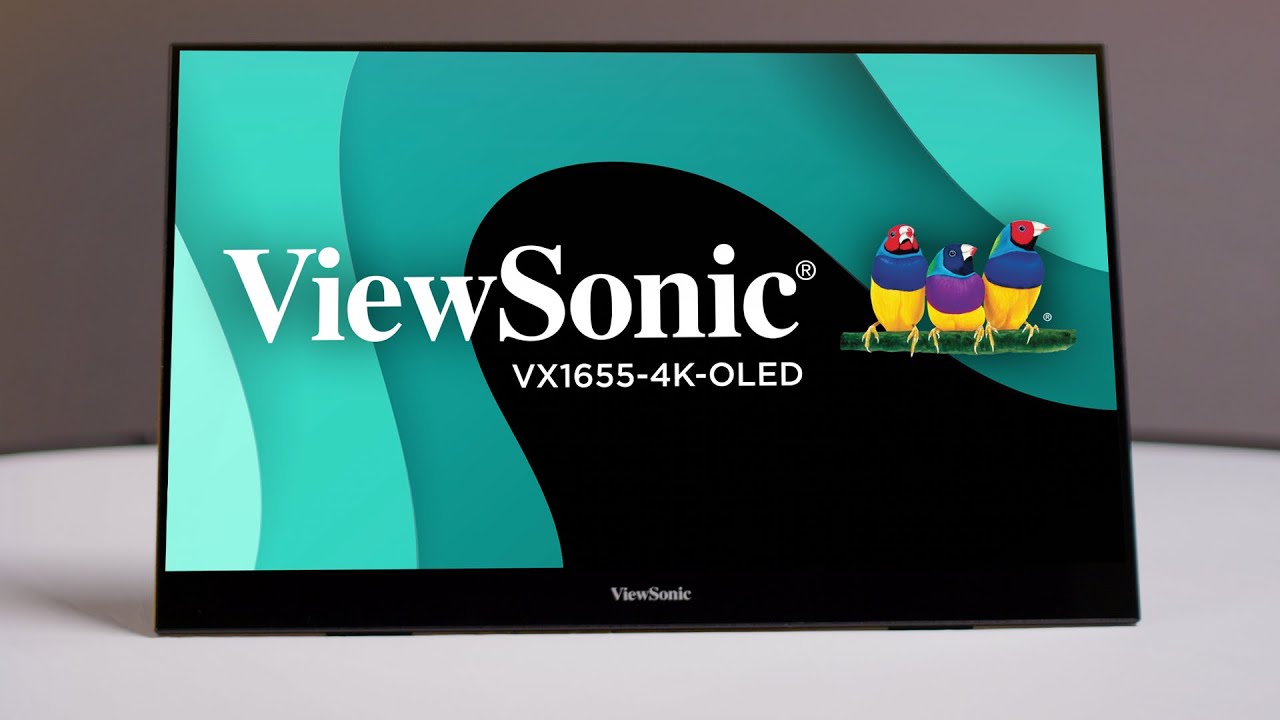 ViewSonic VX1655