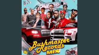 Bushmaster Records Mix (feat. Nephilim, Jr Rebel, King TJ & J-Asha) - Bushmaster Beats