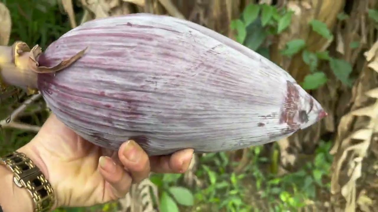 món ăn ngày tết mà ae yêu thích nhất 