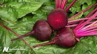 Best Brain Foods: Greens and Beets Put to the Test screenshot 2