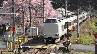 【４Ｋ】満開の桜と山陰本線の列車　(2019年4月13日)