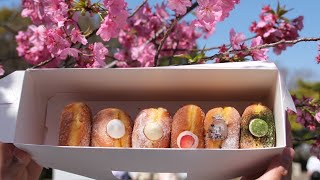 【横浜で大人気】生ドーナツをテイクアウトしてお花見ピクニック🍩🌸